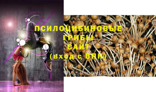 ECSTASY Алексин